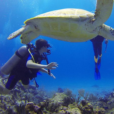 Hotel Roxon Red Sea Eilat - Adults Only Zewnętrze zdjęcie